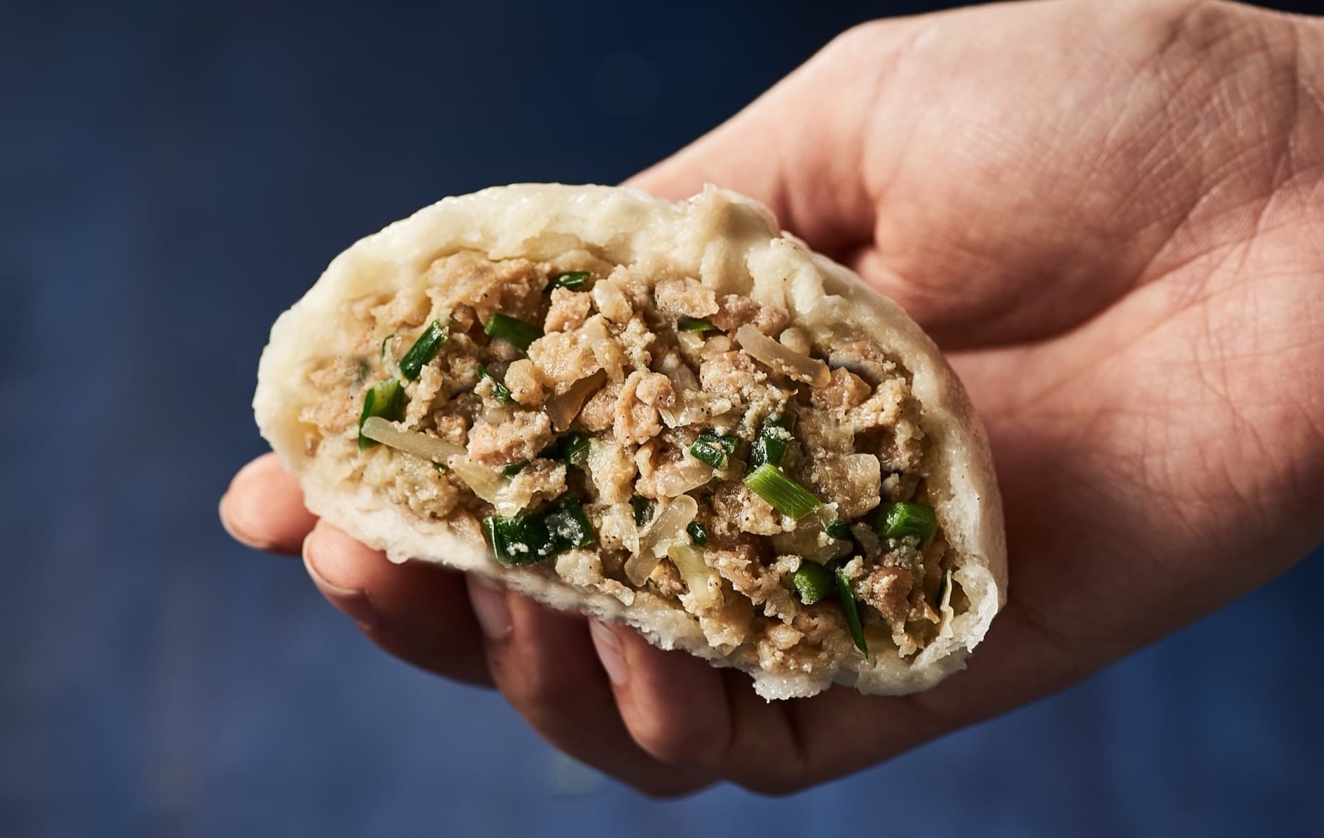 가메골 숙성 발효 손만두 - 가메골푸드(주)
